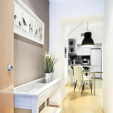 Loft And Flat